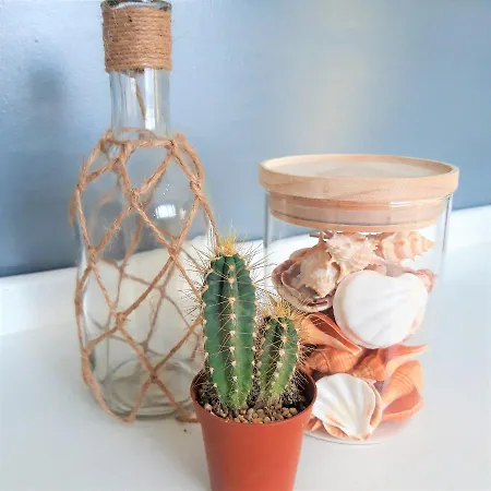 Silver Ocean Puerto Lajas By Sea There Fuerteventura דירה