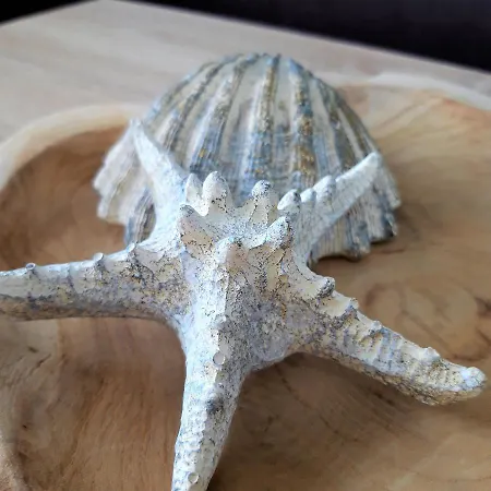 Apartment Silver Ocean Puerto Lajas By Sea There Fuerteventura